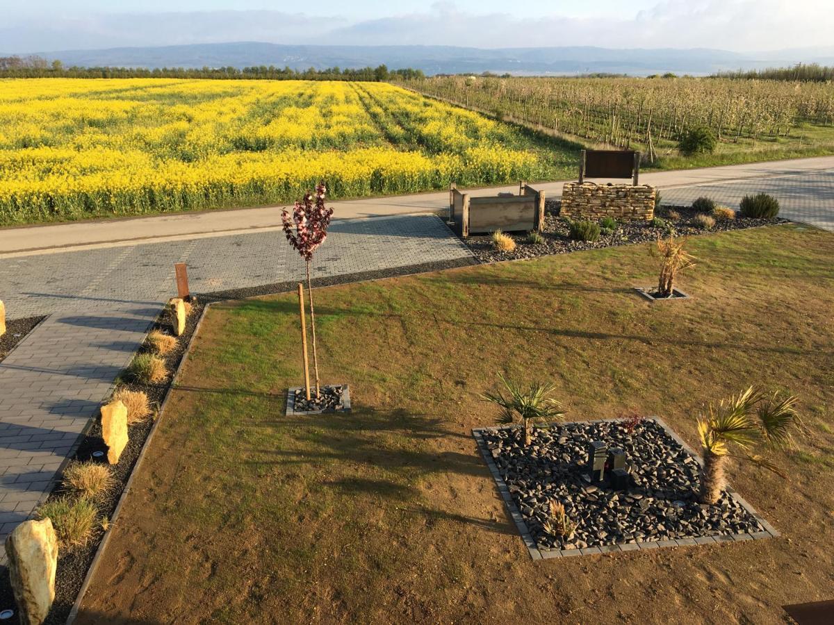 Wohnung 1 Im Kirschbluetenhof Ingelheim am Rhein Exteriér fotografie